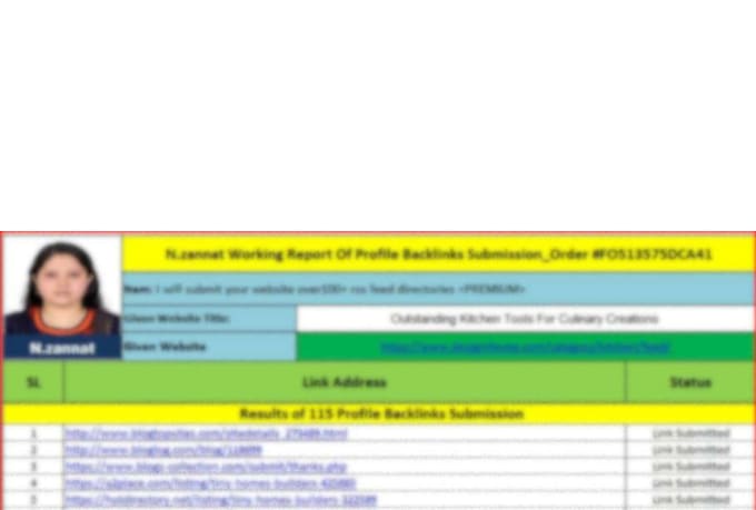 provide high quality RSS feed and directory submission for your website manually